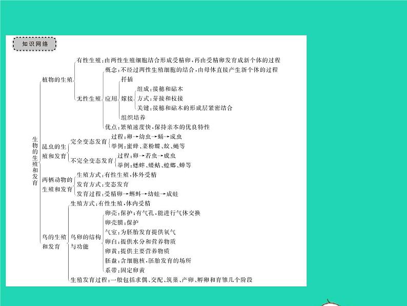 2022八年级物理下册第七章力教材图片导练与习题改练一习题课件新版新人教版第2页