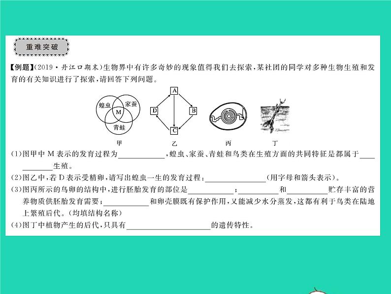 2022八年级物理下册第七章力教材图片导练与习题改练一习题课件新版新人教版第3页