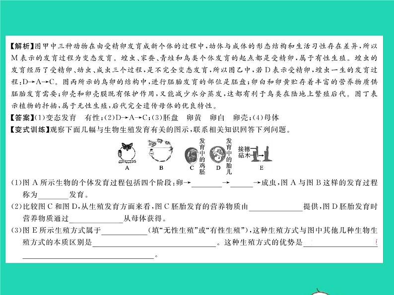 2022八年级物理下册第七章力教材图片导练与习题改练一习题课件新版新人教版第4页