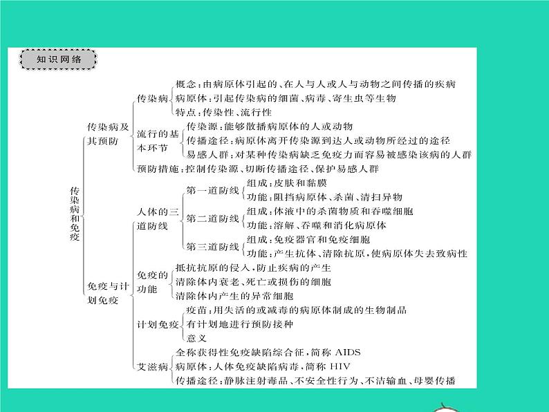 2022八年级物理下册第八章运动和力教材图片导练与习题改练二习题课件新版新人教版第2页