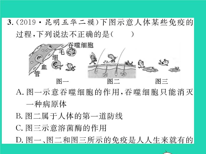 2022八年级物理下册第八章运动和力方法专题2力的示意图2习题课件新版新人教版第8页