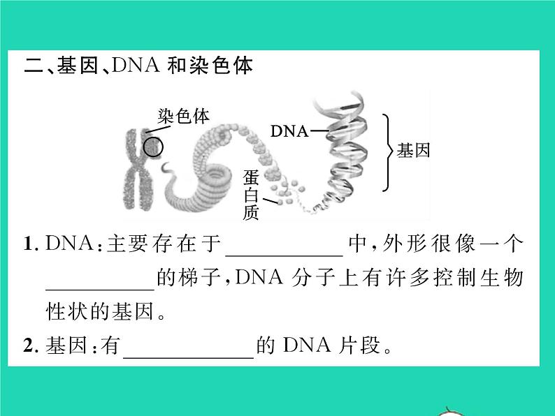 2022八年级物理下册第八章运动和力章末复习与小结习题课件新版新人教版03