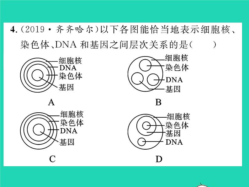 2022八年级物理下册第八章运动和力章末复习与小结习题课件新版新人教版07