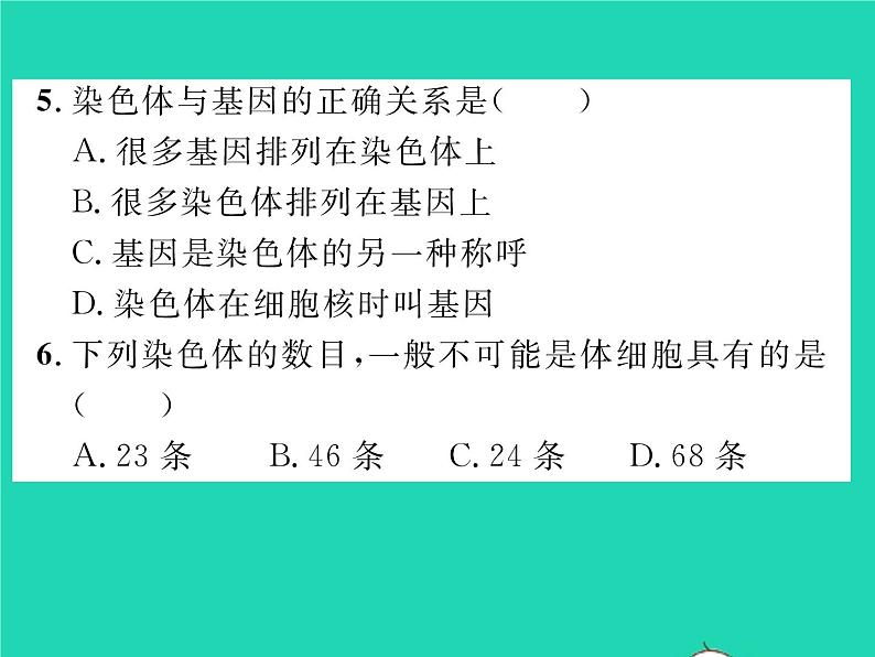 2022八年级物理下册第八章运动和力章末复习与小结习题课件新版新人教版08