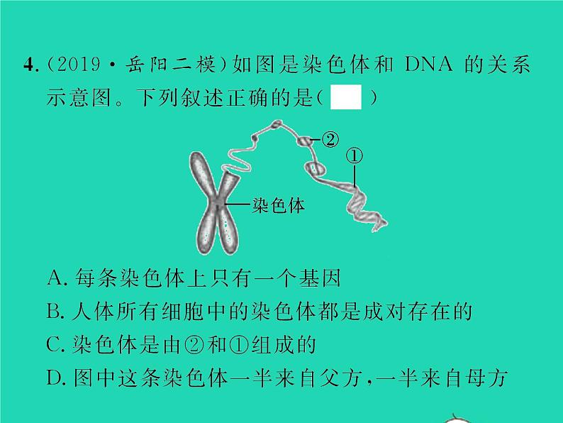 2022八年级物理下册第八章运动和力综合检测习题课件新版新人教版06