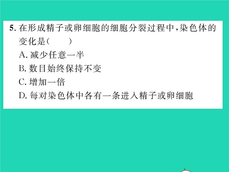 2022八年级物理下册第八章运动和力综合检测习题课件新版新人教版07