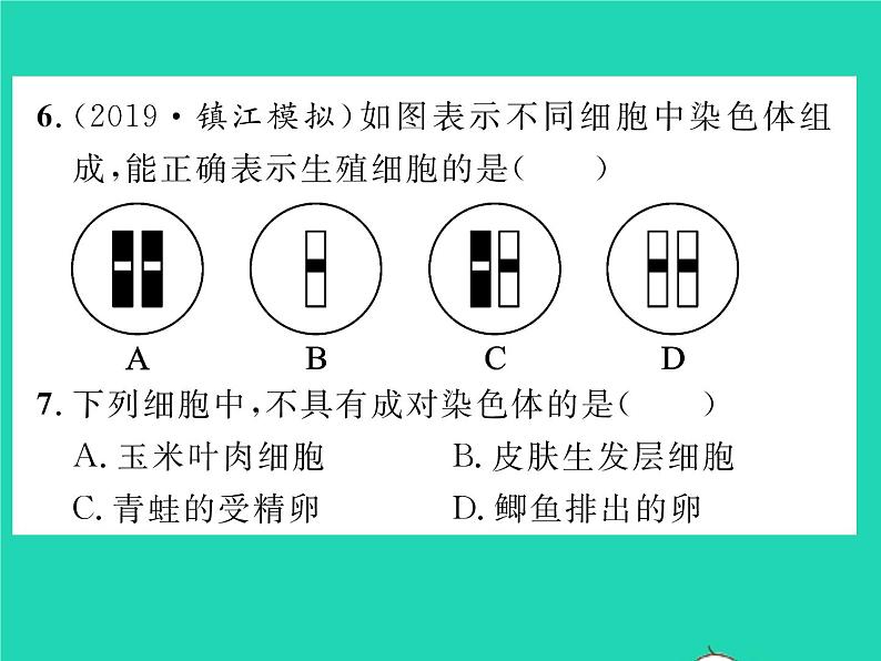 2022八年级物理下册第八章运动和力综合检测习题课件新版新人教版08