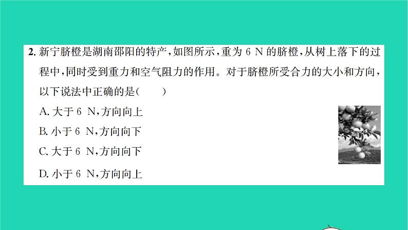 2022八年级物理下学期期中检测卷习题课件新版沪科版03