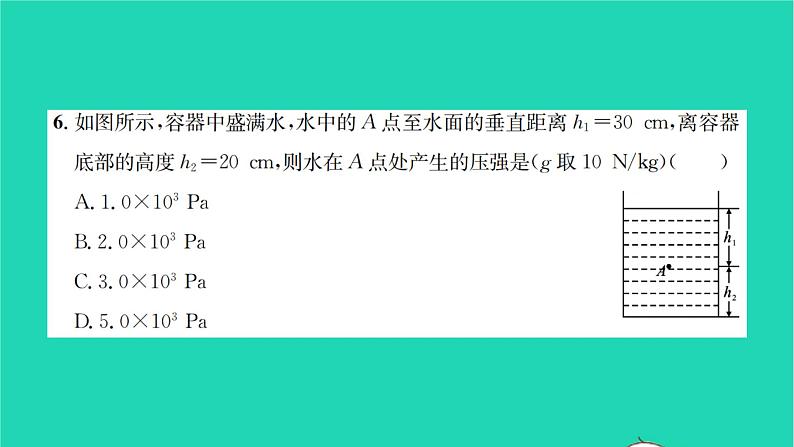 2022八年级物理下学期期中检测卷习题课件新版沪科版07