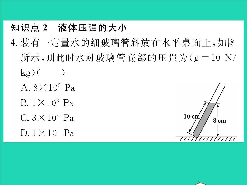 2022八年级物理全册第八章压强第二节科学探究：液体的压强第1课时液体压强的特点习题课件新版沪科版08