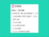2022八年级物理全册第六章熟悉而陌生的力第二节怎样描述力习题课件新版沪科版