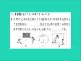2022八年級物理全冊第六章熟悉而陌生的力綜合檢測習(xí)題課件新版滬科版