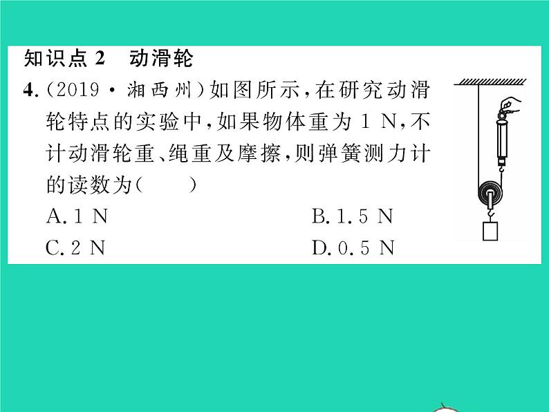 2022八年级物理全册第十章机械与人第二节滑轮及其应用第1课时定滑轮与动滑轮习题课件新版沪科版06