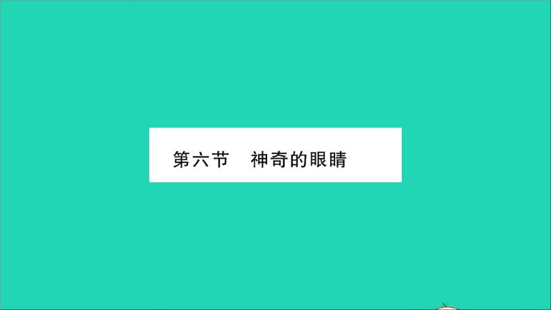 2022八年级物理全册第四章多彩的光第六节神奇的眼睛第1课时眼睛与视力矫正习题课件新版沪科版01