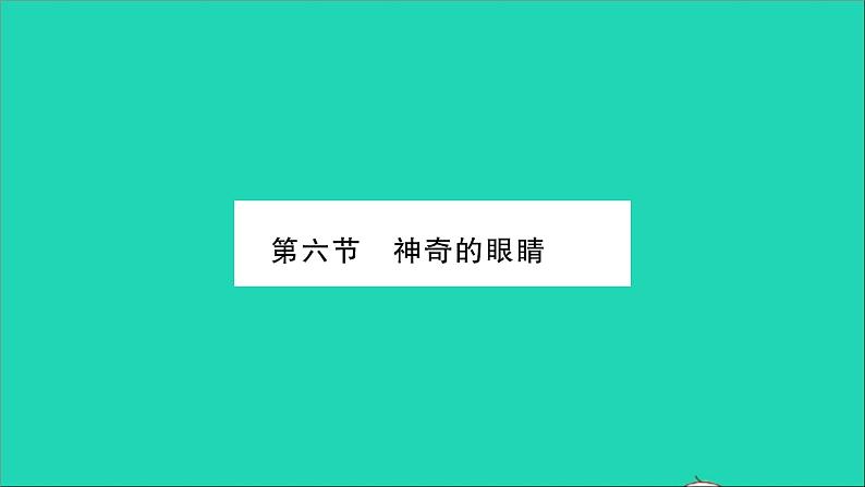 2022八年级物理全册第四章多彩的光第六节神奇的眼睛第1课时眼睛与视力矫正习题课件新版沪科版01