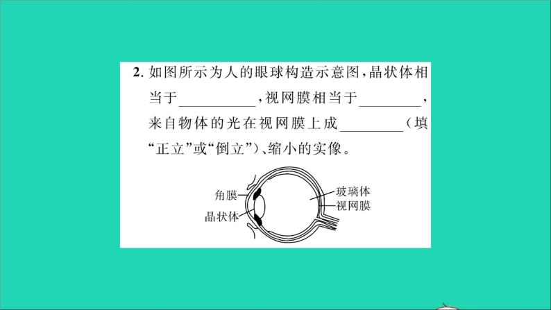 2022八年级物理全册第四章多彩的光第六节神奇的眼睛第1课时眼睛与视力矫正习题课件新版沪科版04