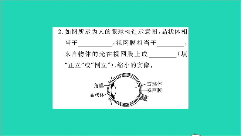 2022八年级物理全册第四章多彩的光第六节神奇的眼睛第1课时眼睛与视力矫正习题课件新版沪科版04