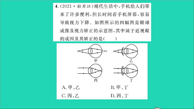 2022八年级物理全册第四章多彩的光第六节神奇的眼睛第1课时眼睛与视力矫正习题课件新版沪科版06