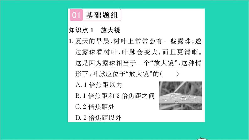 2022八年级物理全册第四章多彩的光第六节神奇的眼睛第2课时透镜的应用习题课件新版沪科版第2页