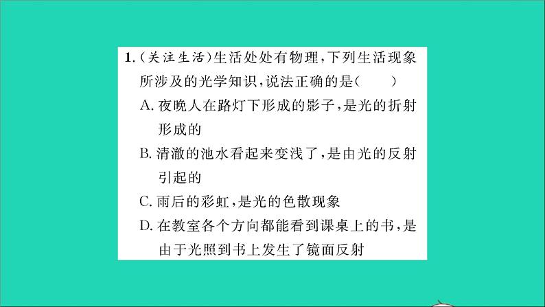 2022八年级物理全册第四章多彩的光素养提升训练三习题课件新版沪科版第2页