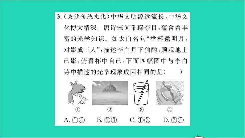 2022八年级物理全册第四章多彩的光素养提升训练三习题课件新版沪科版第4页