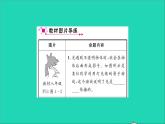 2022八年级物理全册第四章多彩的光教材图片导练与习题变式三习题课件新版沪科版