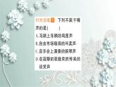 人教版物理八年级上册 第4节 噪声的危害和控制 课件