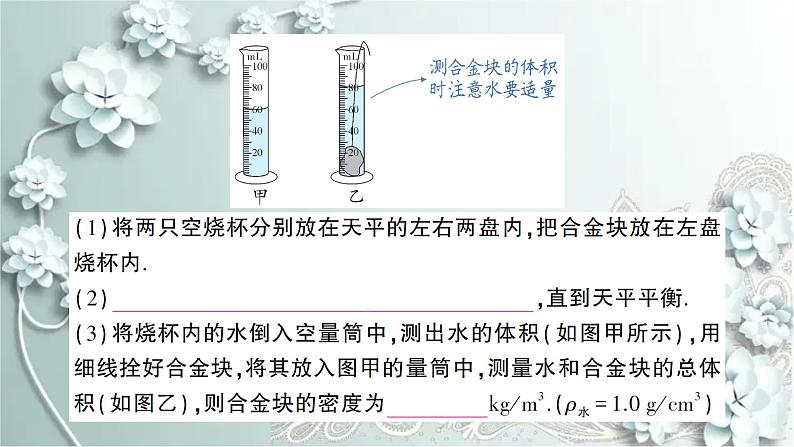 人教版物理八年级上册 专题四 密度的特殊测量第3页