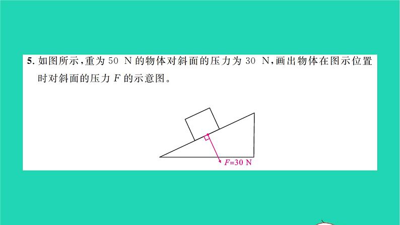 2022八年级物理全册专项复习卷一习题课件新版沪科版06