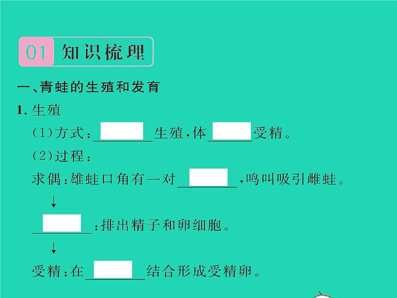 2022八年级物理下册第七章力方法专题1力的示意图1习题课件新版新人教版02