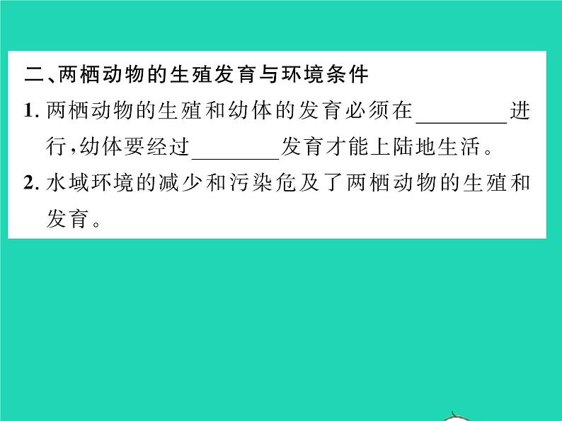 2022八年级物理下册第七章力方法专题1力的示意图1习题课件新版新人教版04