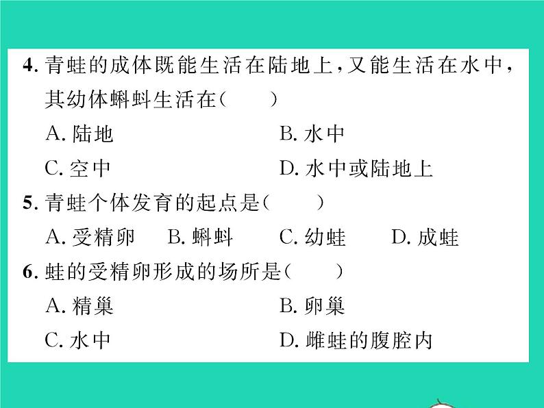 2022八年级物理下册第七章力方法专题1力的示意图1习题课件新版新人教版07