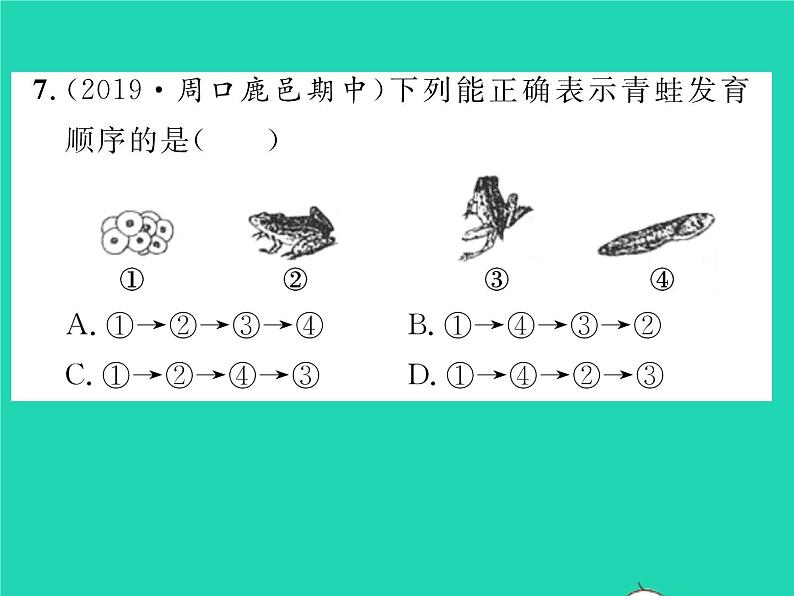 2022八年级物理下册第七章力方法专题1力的示意图1习题课件新版新人教版08