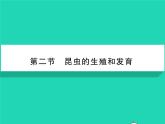 2022八年级物理下册第七章力第3节重力习题课件新版新人教版