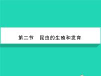 物理八年级下册7.3 重力习题ppt课件