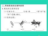 2022八年级物理下册第七章力第3节重力习题课件新版新人教版