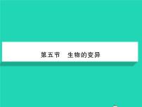 初中人教版第九章 压强9.3 大气压强习题课件ppt