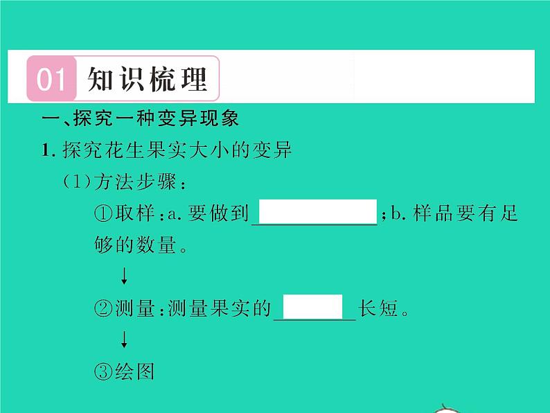 2022八年级物理下册第九章压强第3节大气压强第1课时大气压强习题课件新版新人教版02