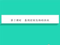 初中物理人教版八年级下册9.4 流体压强与流速的关系习题课件ppt