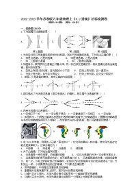 苏科版八年级上册4.2 透镜习题