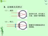 5.4眼睛和眼镜——教学课件