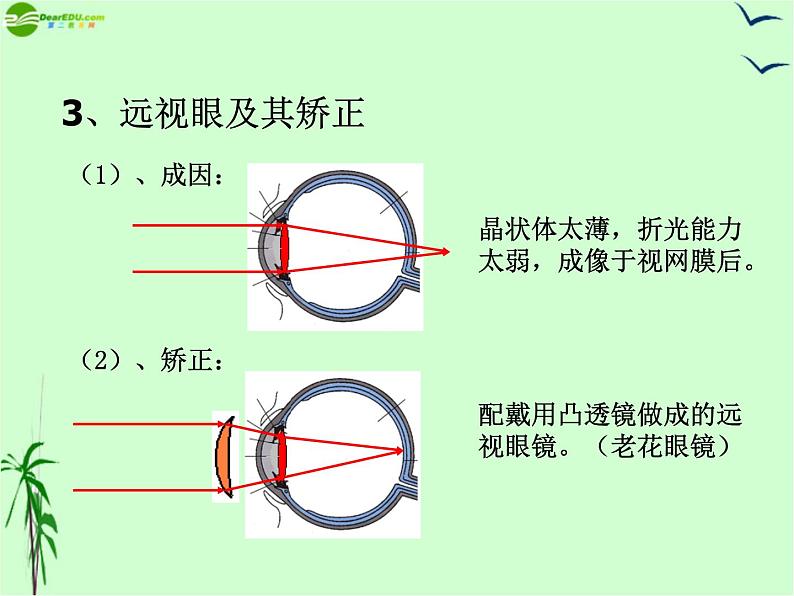 5.4眼睛和眼镜——教学课件第6页