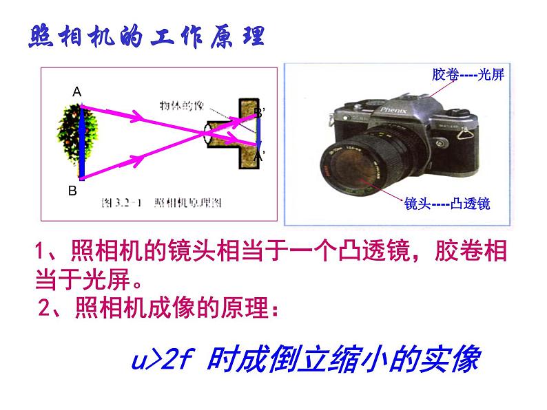 5.2生活中的透镜..——教学课件第6页