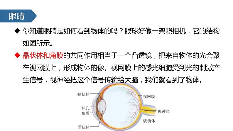 人教版物理八年级上册5.4 眼睛和眼镜 课件03