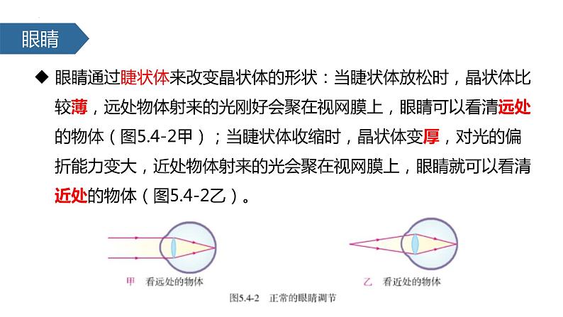 人教版物理八年级上册5.4 眼睛和眼镜 课件04