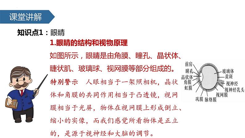 人教版物理八年级上册5.4 眼睛和眼镜 课件08