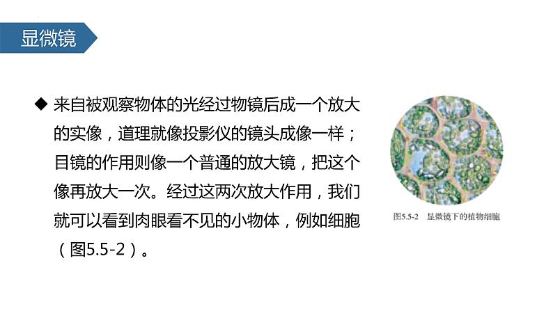 人教版物理八年级上册5.5 显微镜和望远镜 课件第4页