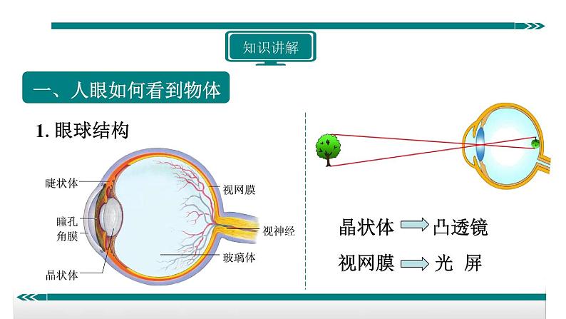 5.4近视眼和远视眼的区别和矫正——教学课件03