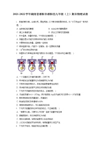 2021-2022学年湖南省邵阳市邵阳县九年级（上）期末物理试卷（含详细答案解析）