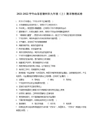 2021-2022学年山东省德州市九年级（上）期末物理试卷（含详细答案解析）